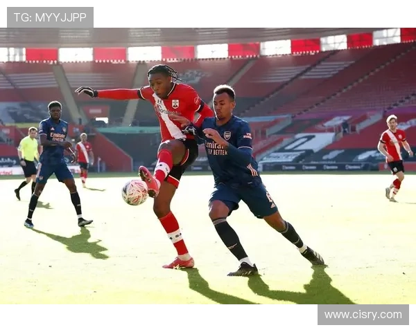 南安普顿足球俱乐部发展历程与未来展望分析